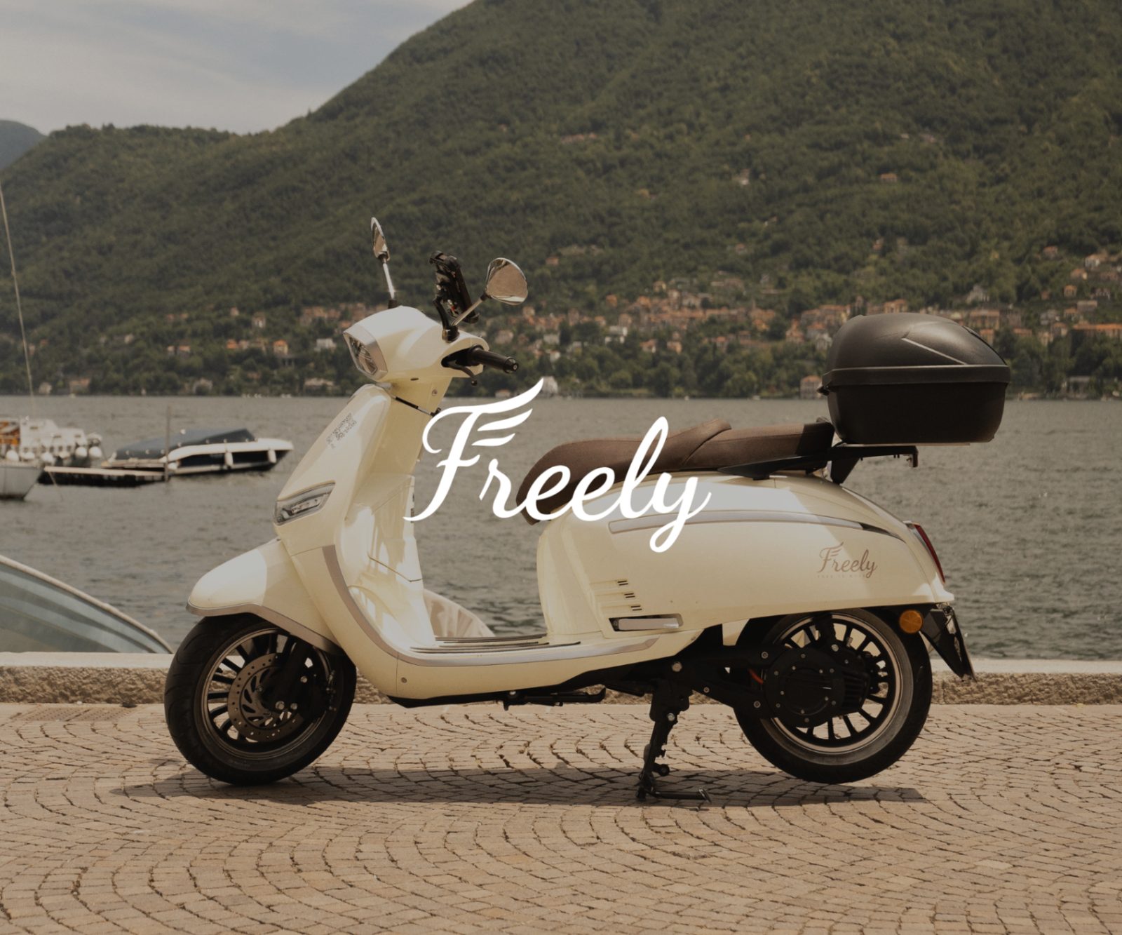 Freely brand consultancy project
