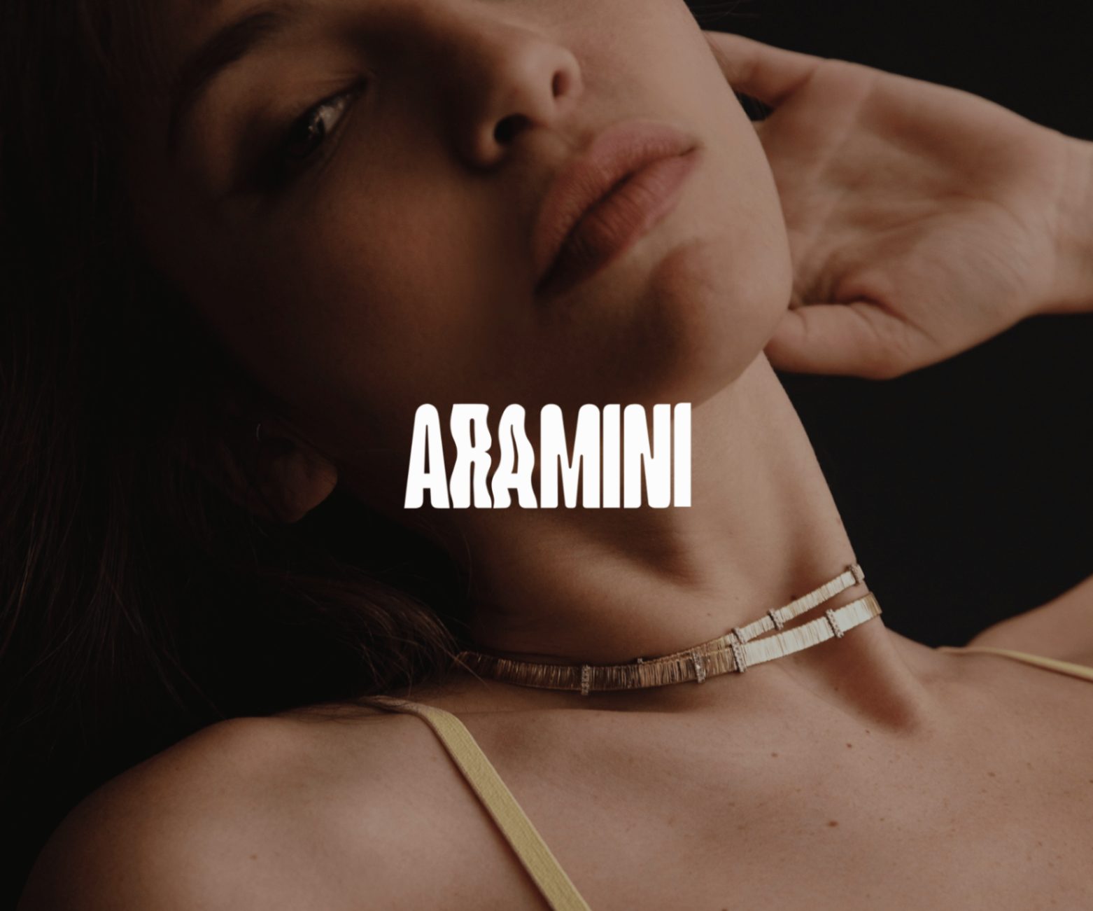 Aramini jewelry campaign project
